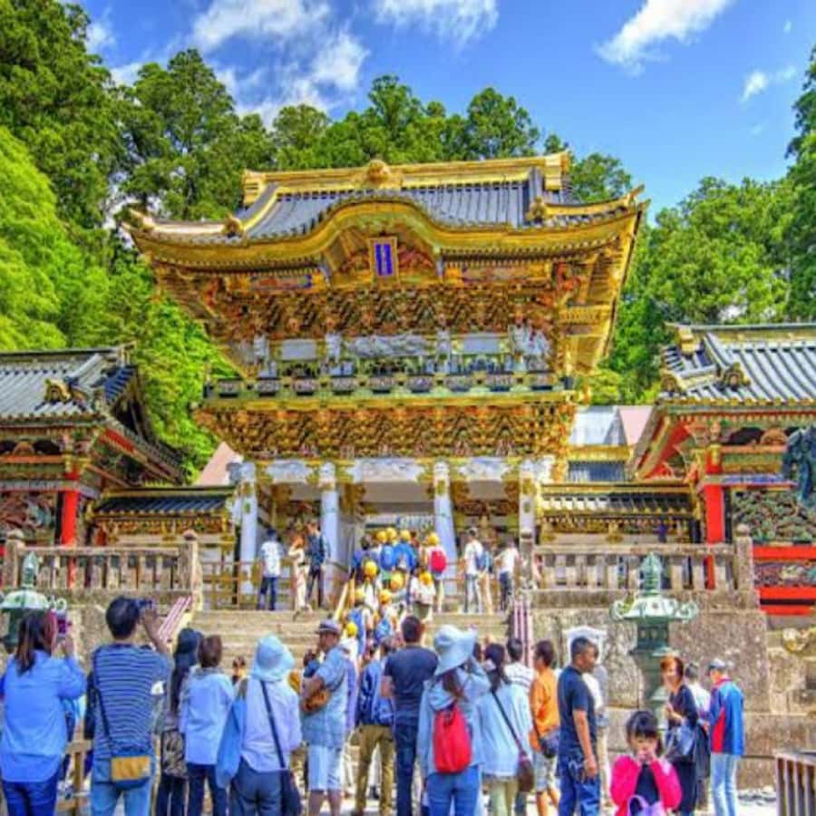 From Tokyo: Private Nikko World Heritage Sights One Day Trip - Shinkyo Bridge: The Photo-Stop That’s Actually Worth Your Time