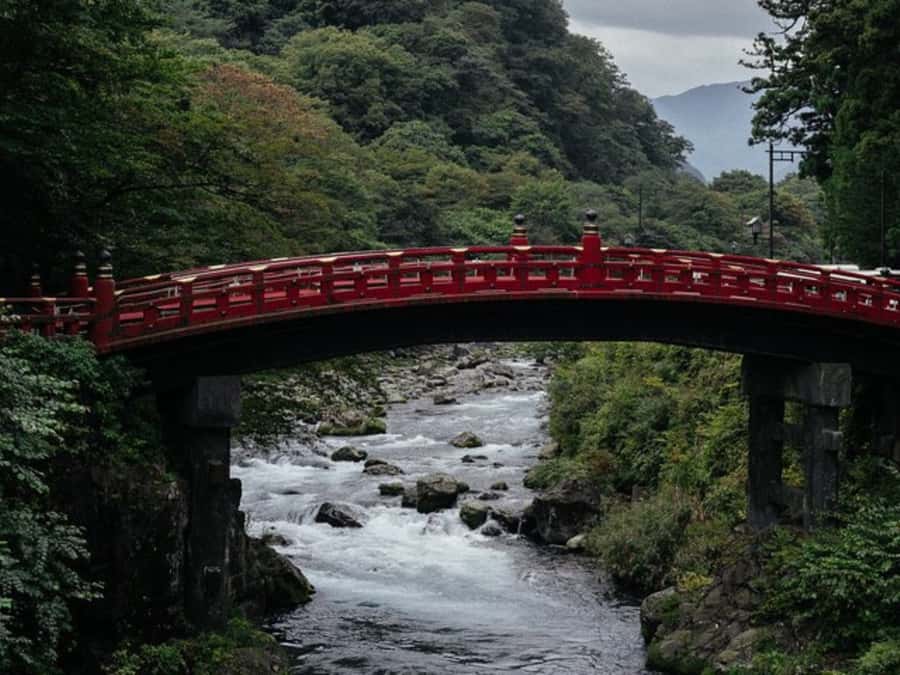 From Tokyo: Private Nikko World Heritage Sights One Day Trip - Kegon Falls: How to Make the Most of One Hour