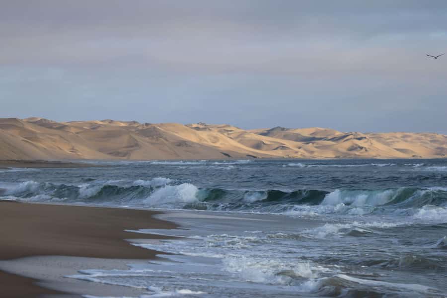 From Walvis Bay: Sandwich Harbour World Heritage Site - Key highlights worth planning for