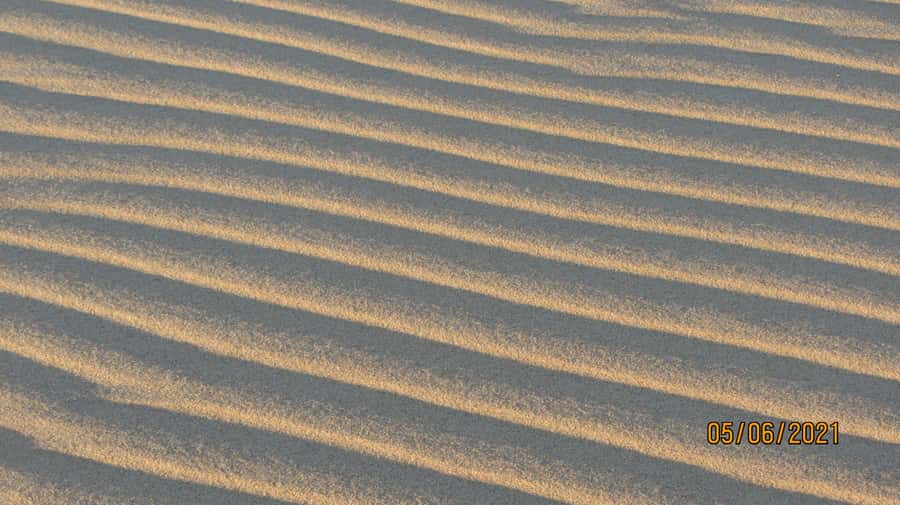 From Walvis Bay: Sandwich Harbour World Heritage Site - Lunch on a dune or beach: the calm break you need