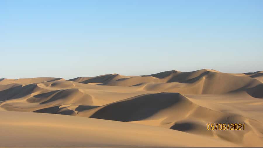 From Walvis Bay: Sandwich Harbour World Heritage Site - Optional lie-down sandboarding: when the brave part fits