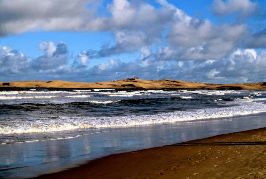 From Walvis Bay: Sandwich Harbour World Heritage Site - The 4x4 dune drive: safety, comfort, and photo timing