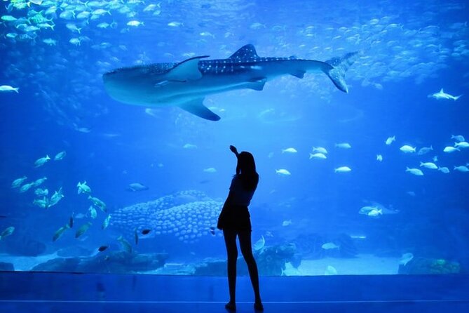 Full Day Explore Old Heritage & Modern Dubai City Tour - Palm Jumeirah Monorail + Atlantis Area: One Ticket, Many Angles