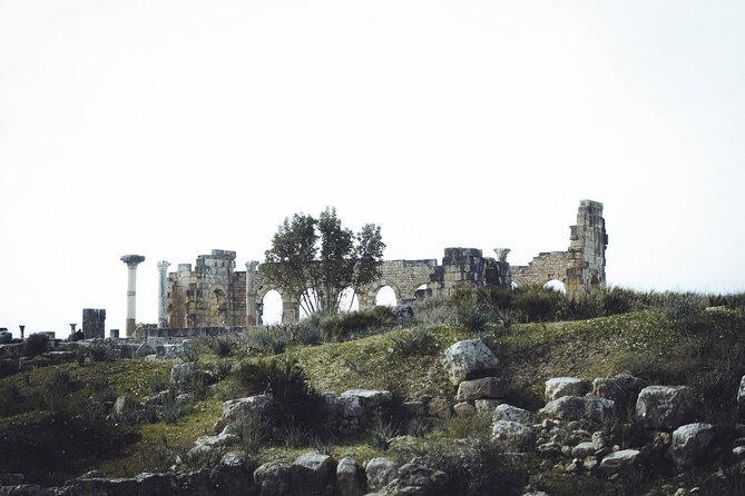Full-Day Historical Tour to Meknes Volubilis and Moulay Idriss - Moulay Idriss holy city: meaning without rushing, plus a respectful walk