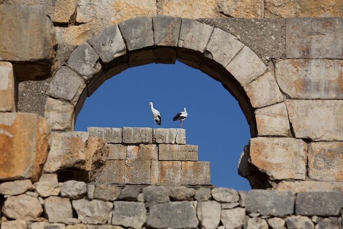 Full-Day Historical Tour to Meknes Volubilis and Moulay Idriss - Lunch and pacing: how to keep the day from turning into a sprint