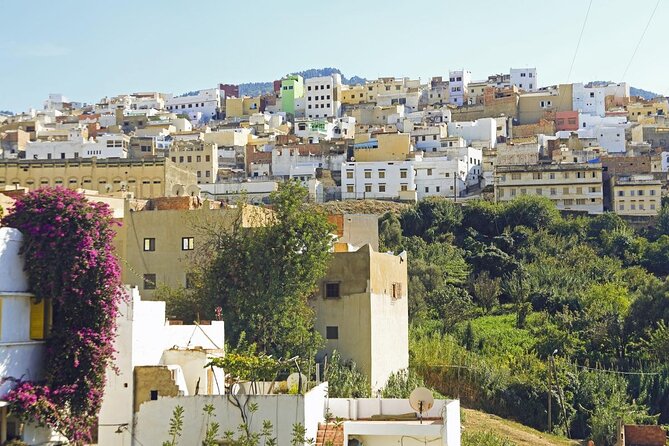 Full-Day Historical Tour to Meknes Volubilis and Moulay Idriss - How the day is timed (and why it matters)