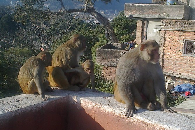 Full Day Kathmandu City Sightseeing Tour of UNESCO Heritage Sites - How to Make the Day Easier on Your Body