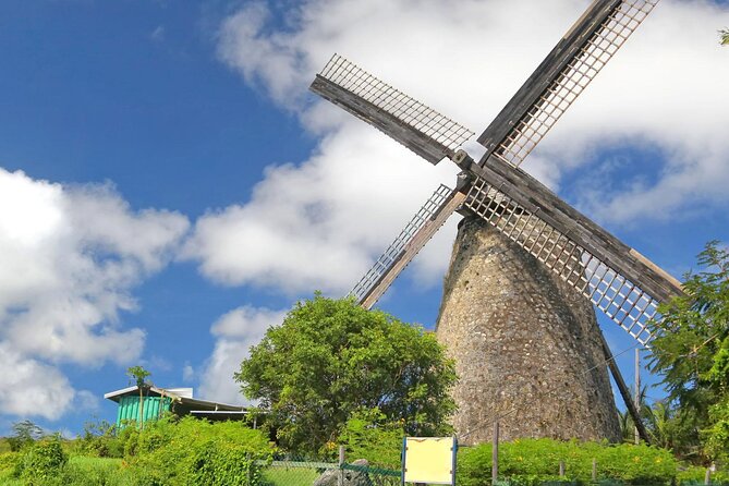 Full-Day Natural Heritage Tour in Barbados with Lunch - East Coast drive and Barclays Park: views without the navigation headache