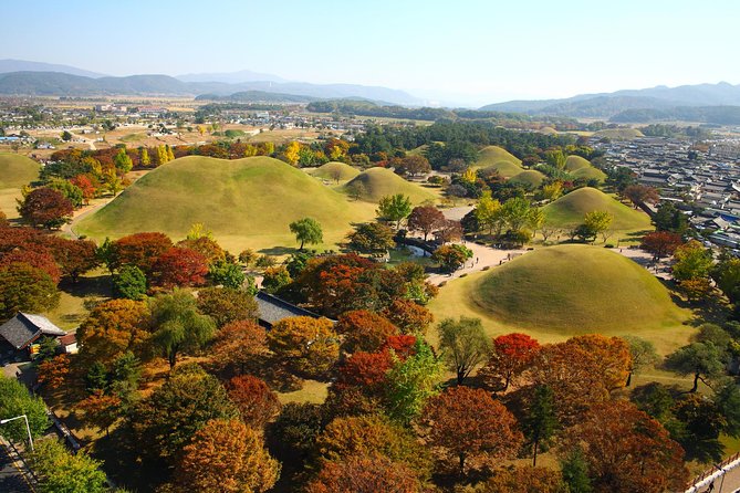 Full day Private Gyeongju UNESCO Heritage Tour : a glimpse into Silla - Seokguram Grotto + Tteokgalbi Lunch: Art, Spirit, and Food Timing
