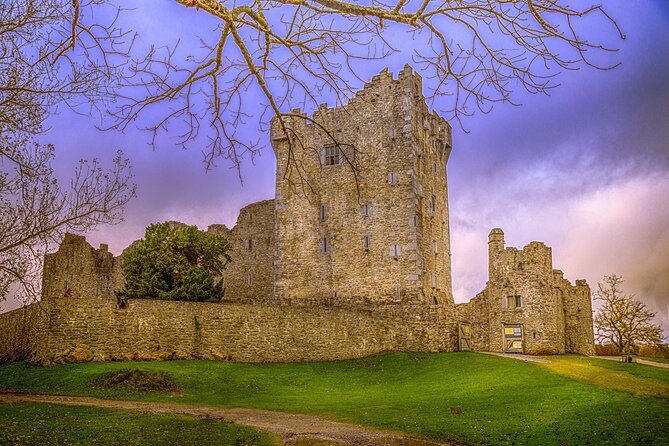 Full-Day Private Historical Tour at Ring of Kerry - Key highlights you’ll care about