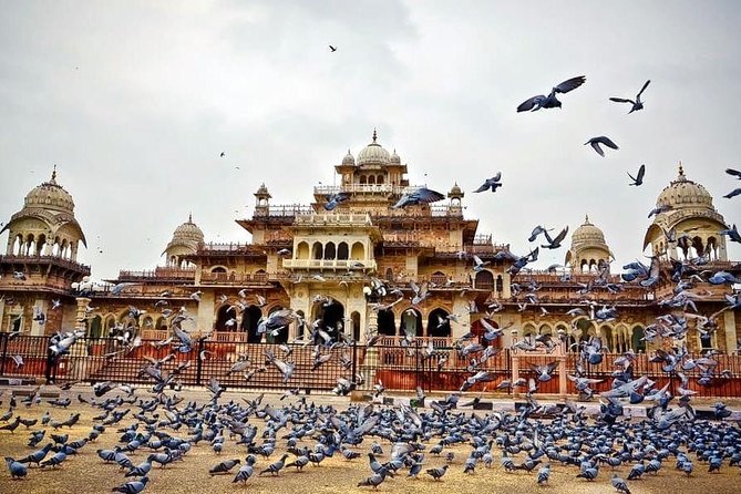 Full-Day Private Tour Heritage of Jaipur with Amber Fort - Amber Fort: why Amer Fort is the right place to start