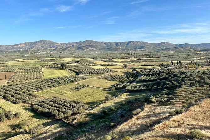 Full-Day Private Tour in Matala Caves and Ancient Gortyn in Crete - Private pickup, air-conditioning, and the small comforts that matter