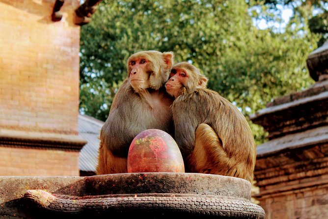 Full Day Private Tour of Kathmandu - UNESCO World Heritage Sites - Stop 2: Pashupatinath Temple by the Bagmati River