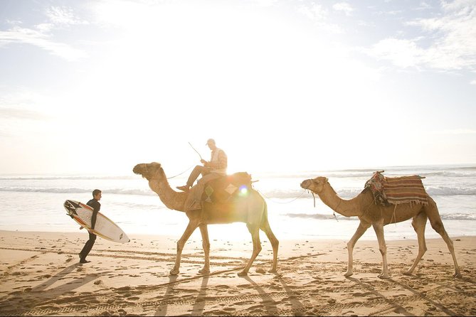 Full-Day Tour to Essaouira - The Ancient Mogador City from Marrakech - Who Should Book This Essaouira Day Trip