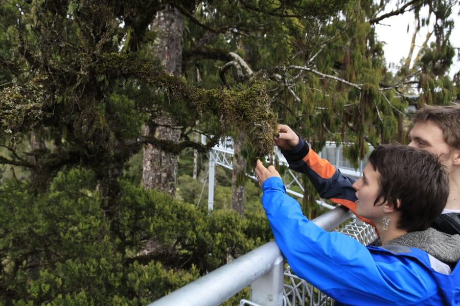 Greymouth: Glacier, Heritage & Wildlife Centre Guided Tour - Price and value: is $175 a fair deal for an 8-hour day?