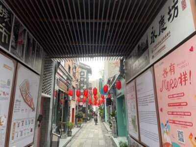 Guangzhou: Walking Tour of Xiguan Ancient Town - Renwei Temple and Liwanhu Park: the best “warm-up” for local life