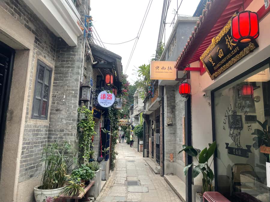 Guangzhou: Walking Tour of Xiguan Ancient Town - What to expect day-of: walking style, pace, and comfort