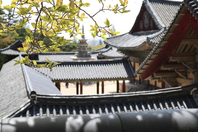 Gyeongju The UNESCO World heritage sites tour(Private tour) - Key Highlights to Look For