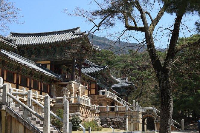 Gyeongju The UNESCO World heritage sites tour(Private tour) - Why This Gyeongju UNESCO Day Trip Works From Busan