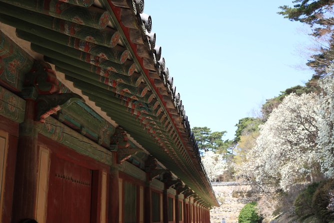 Gyeongju The UNESCO World heritage sites tour(Private tour) - Price and Value: What $329 Buys You in Real Terms