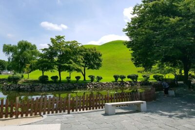 Gyeongju UNESCO World Heritage Sites and History Full-Day Tour with Lunch - Cheomseongdae Observatory: Silla’s old star clock