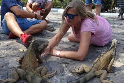 Half Day Guayaquil Historical Tour and Cocoa Culinary Experience - Parque Histórico Guayaquil: Wildlife, Old Architecture, and a Real Sense of Place