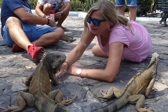 Half Day Guayaquil Historical Tour and Cocoa Culinary Experience - Parque Histórico Guayaquil: Wildlife, Old Architecture, and a Real Sense of Place