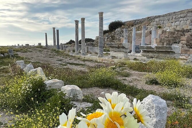 Half Day Guided Knidos Ancient City Tour - Should You Book the Half-Day Guided Knidos Tour?