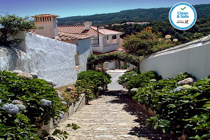 Half Day Historical Tour to Silves and Monchique - Price and logistics: what $78.31 really buys you