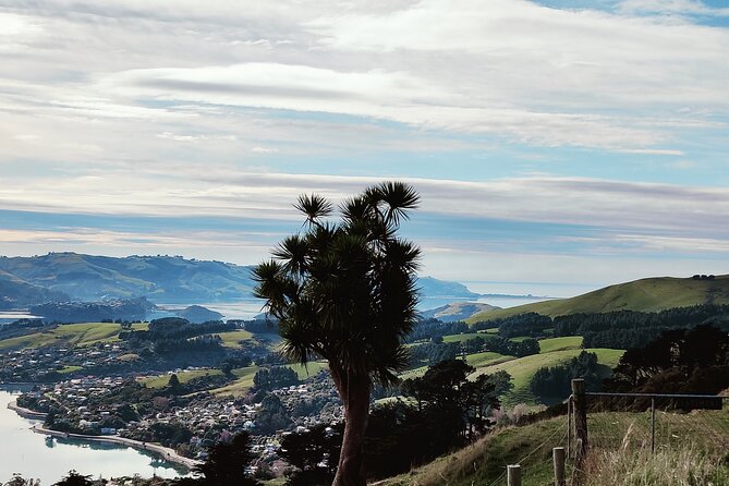 Heritage City and Larnach Castle Van tour with Historian Guide - Baldwin Street: Quick Bucket-List Moment with a Real Climb