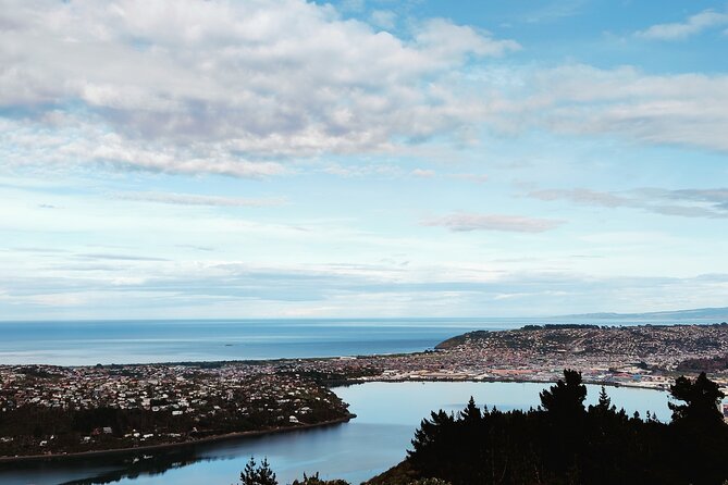 Heritage City and Larnach Castle Van tour with Historian Guide - Queens Gardens: War Commemoration in Plain View