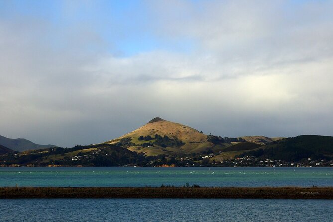 Heritage City and Larnach Castle Van tour with Historian Guide - High Street and the Devil’s Half Acre: Wealth, Form, and Shadows