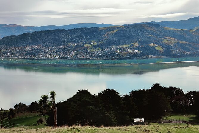 Heritage City and Larnach Castle Van tour with Historian Guide - Lunch at Luna Bar and Restaurant: Best Views, Local Feel