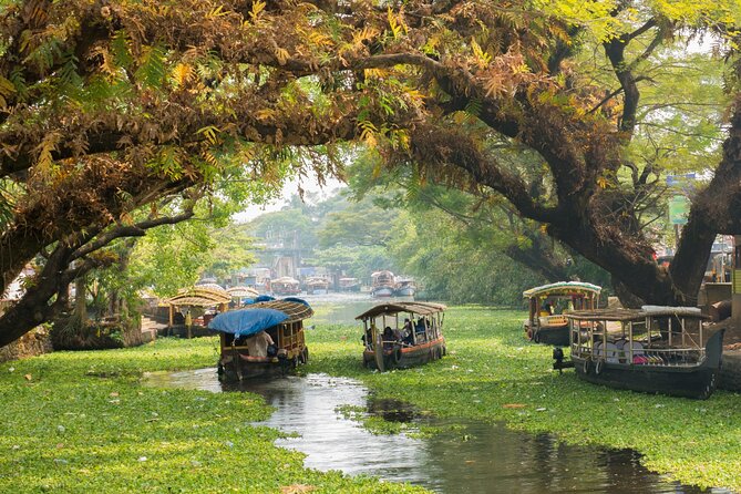 Heritage & Cultural Walk of Alleppey (Guided Walking Tour) - Key highlights and what they mean for you