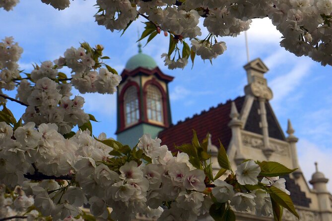 Heritage Dunedin City Walking Guided Tour - Princes Street and the Cargill memorial: whimsy in stone