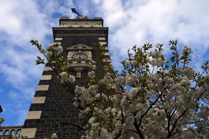 Heritage Dunedin City Walking Guided Tour - Ending at Speight’s Brewery: choose your finish, keep the momentum