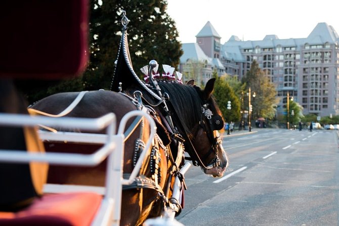 Heritage Horse-Drawn Carriage Experience in Victoria - Key highlights worth planning around