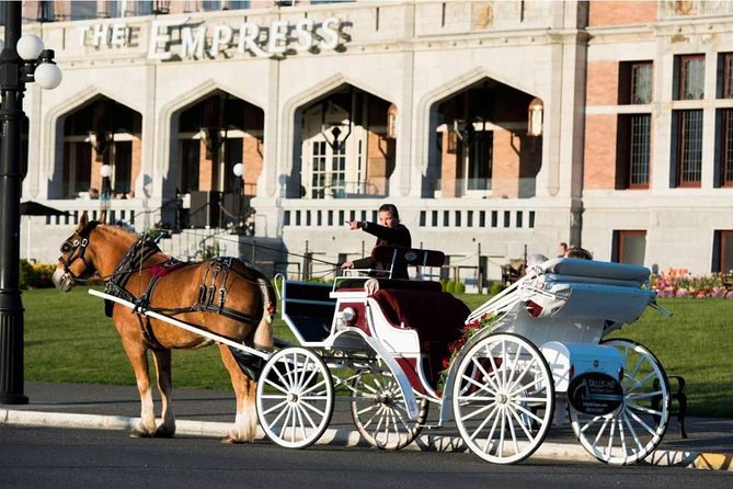 Heritage Horse-Drawn Carriage Experience in Victoria - Why James Bay feels calmer than downtown