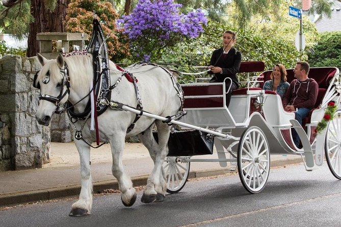 Heritage Horse-Drawn Carriage Experience in Victoria - Legislative Assembly of British Columbia: the landmark opener