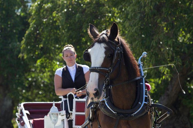 Heritage Horse-Drawn Carriage Experience in Victoria - Old Town: Victorian streets you can feel