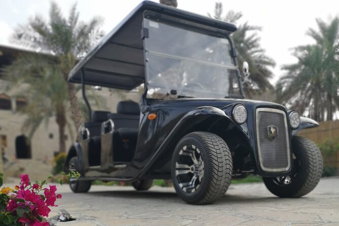 Heritage private Tour by classic carts - Aqr Village by classic carts: why this format works