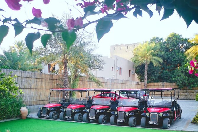 Heritage private Tour by classic carts - Shawathna Mosque and other pass-by moments