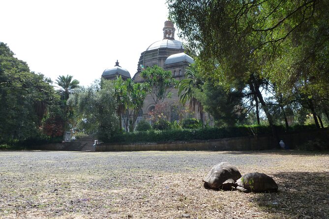 Hidden Treasures of Addis Ababa - Food, Culture and History Tour - Key highlights before you go