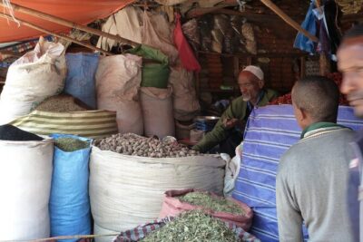 Hidden Treasures of Addis Ababa - Food, Culture and History Tour - Bata Mariam Church and Menelik II’s mausoleum: power, roots, and giant turtles