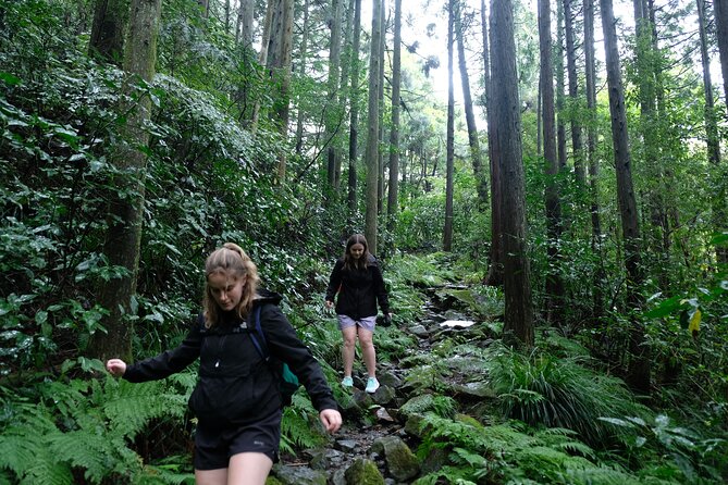 Hike Japan Heritage Hakone Hachiri (Half Day) - Key highlights (why this walk works)
