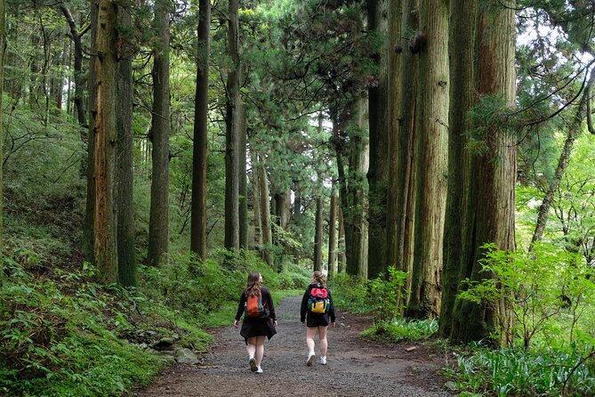 Hike Japan Heritage Hakone Hachiri (Half Day) - Hakone Hachiri on the old Tokaido: cobblestones plus forest quiet