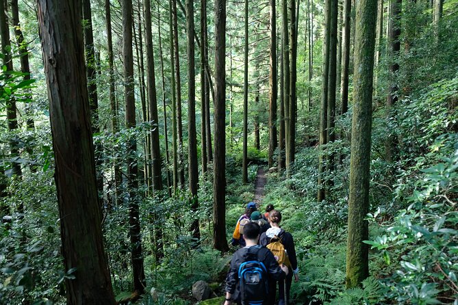 Hike Japan Heritage Hakone Hachiri (Half Day) - Price and what you’re really paying for