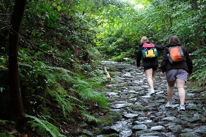 Hike Japan Heritage Hakone Hachiri (Half Day) - FAQ