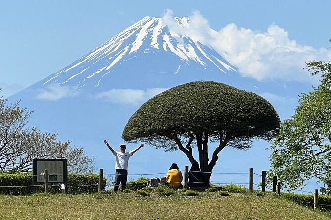 Hike Japan Heritage Hakone Hachiri with certified mountain guide - Key highlights you’ll care about