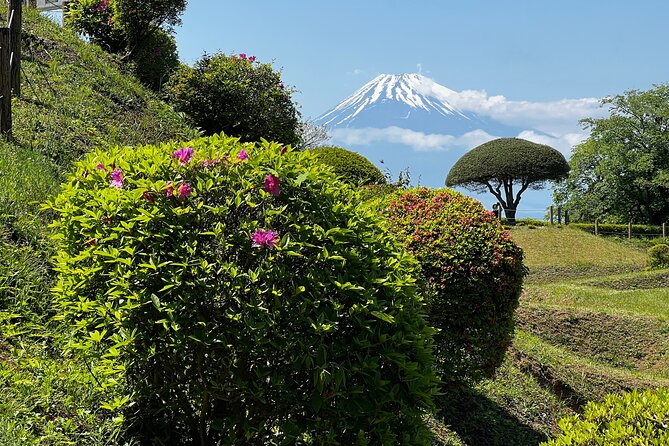 Hike Japan Heritage Hakone Hachiri with certified mountain guide - Cedar trees to the Hakone Checkpoint: where travel got controlled
